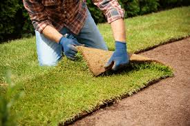 Sod Installation example 4